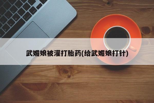 网上米非司酮片打胎药网店武媚娘被灌打胎药(给武媚娘打针)