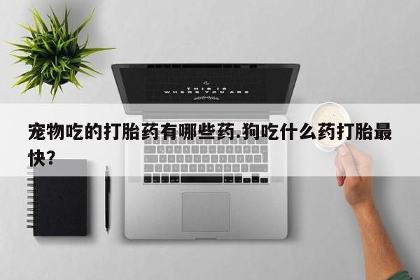网上米非司酮片打胎药网店宠物吃的打胎药有哪些药.狗吃什么药打胎最快？