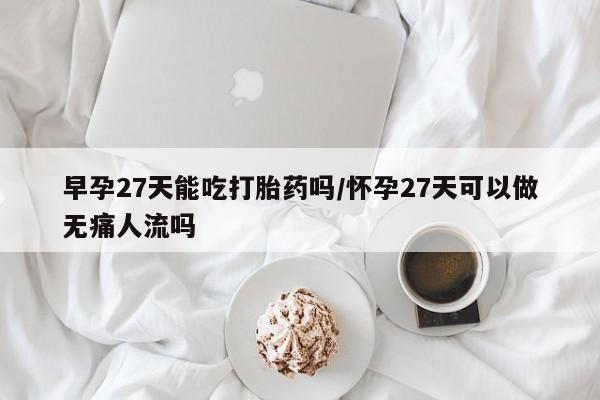 网上米非司酮片打胎药网店早孕27天能吃打胎药吗/怀孕27天可以做无痛人流吗