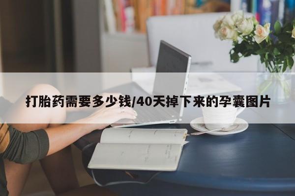 网上米非司酮片打胎药网店打胎药需要多少钱/40天掉下来的孕囊图片