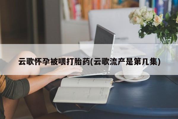 网上米非司酮片打胎药网店云歌怀孕被喂打胎药(云歌流产是第几集)
